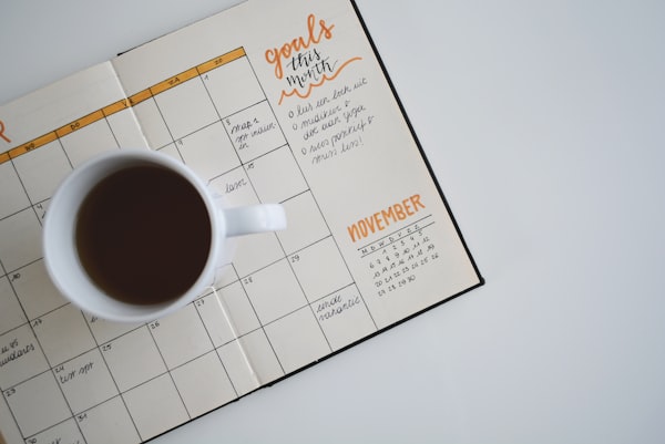 Planning and study organization